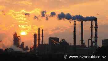 Net zero pledges: not even next management's problem - New Zealand Herald