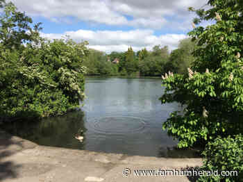 Criticism of Kings Pond tree works - Farnham Herald