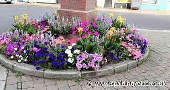 Blooming Silver for Long Sutton – The Voice - The Spalding and South Holland Voice