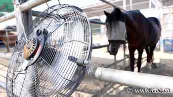 29 heat records have been broken in Saskatchewan this week