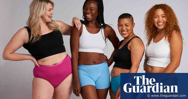 Do period undies work and are they good value for money?