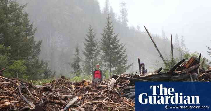 Canada: win for anti-logging protesters as judge denies firm’s injunction bid