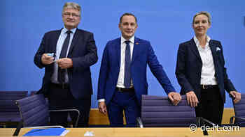 Vom Osten lernen heißt siegen lernen? AfD auf dem Weg zur "Lega Ost" - RT DE