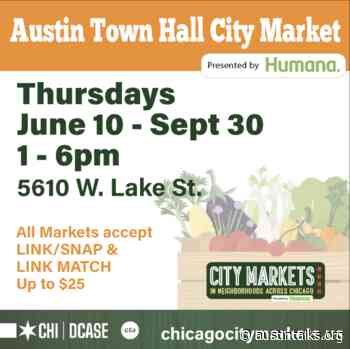 Shop Austin's last city market of the season - AustinTalks