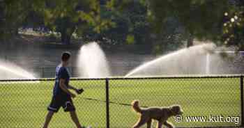 Austin Pets Alive Says It May Move Out Of Austin, Jeopardizing City's 'No-Kill' Status - KUT