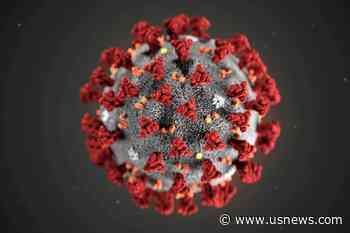 Coronavirus Can Transform Pancreas Cell Function; Certain Genes May Protect an Infected Person's Spouse | Top News | US News - U.S. News & World Report