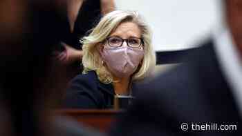 Cheney apologizes to Milley for 'despicable' questioning from fellow Republicans