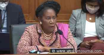 'Such a Level of Ignorance': Rep. Sheila Jackson Lee Scorched for Making Laughable Claim About 'Secure' Border