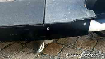 “Monopattini a Lecco: bene, ma non benissimo”. La prova di Matteo - LeccoToday