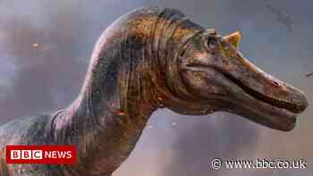 New species of dinosaur unearthed by Isle of Wight fossil hunters
