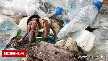 Climate Change: Don't sideline plastic problem, nations urged