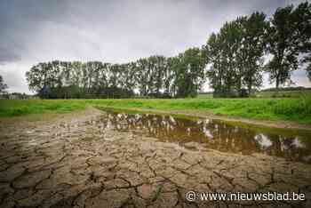 Na regen komt (te veel) zonneschijn? Provincie geeft nu ook subsidies voor droogteplannen