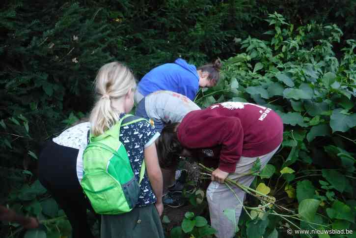 Jeugdbond voor Natuur en Milieu schiet uit de startblokken met groene actie