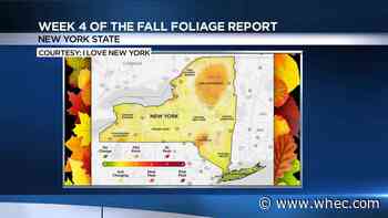 Fall foliage map is up on I Love New York