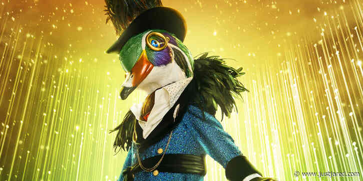 Who is Mallard on 'The Masked Singer' Season 6? Spoilers, Clues & Guesses Revealed!