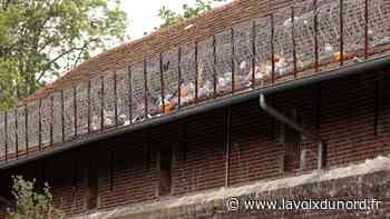 Arras : quatre personnes arrêtées pour des projections illicites en prison - La Voix du Nord