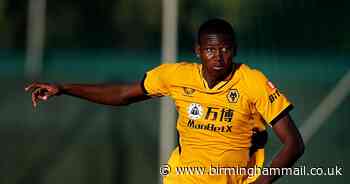 Bruno Lage dealt major blow as Wolves star faces 'four to five months out' - Birmingham Live