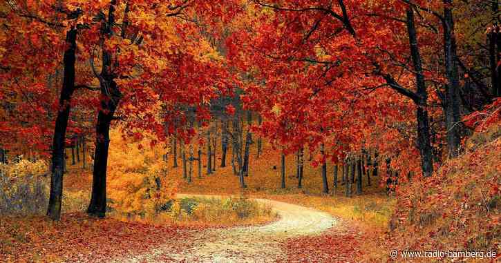 Tipps gegen Unfälle im Herbst.