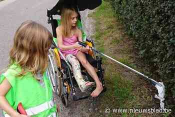 Vrijwilliger halen 250 kilogram zwerfvuil op (Temse) - Het Nieuwsblad