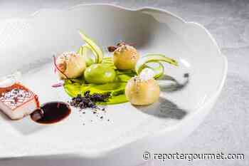 Gnocchi di salsa Bolzanina, spuma di erba cipollina e pancia di maiale | Stephan Zippl - Reporter Gourmet