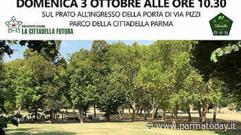 "Là dove c’era l’erba … lasciatela!": cittadini e comitati in Cittadella per 'salvare il prato dalla condanna a morte' - ParmaToday