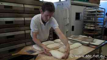 'Vaccine economy' faces hurdle with some business owners