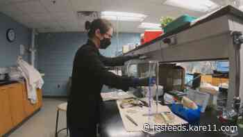 'Really simple': U of M researchers hope a new liquid mask coating to defend against COVID will eventually be able to be made at home