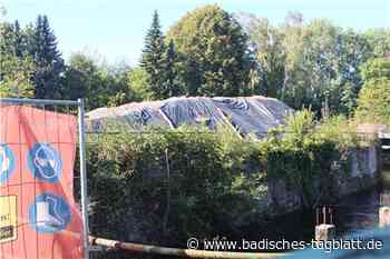Gernsbach: Rat gibt grünes Licht für Wörthgarten - Badisches Tagblatt