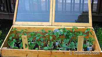 Master Gardener: Take control of garden temperatures with a cold frame - Tulsa World