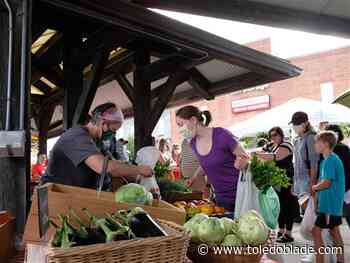 Fall is a gardener's opportunity to plan anew - Toledo Blade