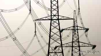 Warning after gardener killed when hedge trimmer hit power line - ITV News