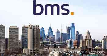 BMS sets up BMS Re Brazil with ex-Guy Carp duo - The Insurance Insider