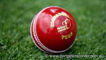 Afghan Test is officially off: Cricket Tas | The Recorder | Port Pirie, SA - The Recorder