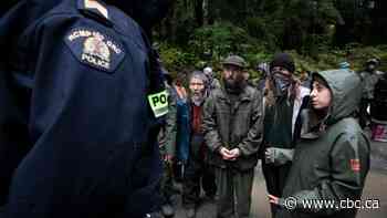 Protesters against old-growth logging dig in as company appeals denial of B.C. court injunction