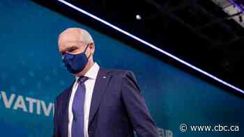 Conservative member attacking O'Toole's leadership could be dropped from party council, president warns