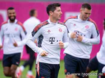 «Maschine» Bayern München mit «Gier» gegen Dynamo Kiew - TAGEBLATT: Nachrichten aus Stade, Buxtehude und der Region - Tageblatt-online