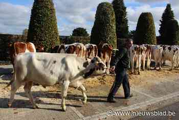 Opnieuw jaarmarktweekend in Duffel