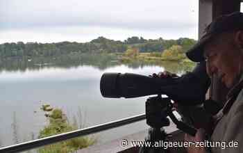 Stausee bei Kardorf: Droht Baden und Bootsfahrten das Aus? - Allgäuer Zeitung