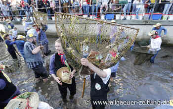 Fischertag Memmingen: Peta verklagt Verein - Staatsanwaltschaft Kempten ermittelt - Allgäuer Zeitung