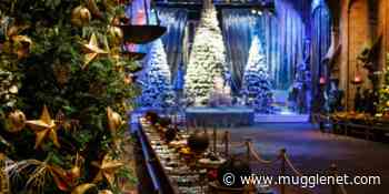Wrap Up Warm and Step into the Festive Forbidden Forest at Hogwarts in the Snow - MuggleNet