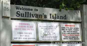 Sullivan's Island Town Council votes to reexamine forest cutting plan - Live 5 News WCSC