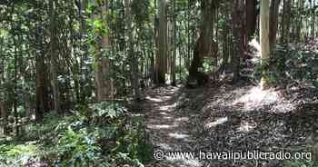 Hawaiʻi Receives $5M for Forest Restoration | Hawai'i Public Radio - Hawaiipublicradio