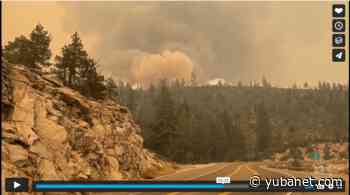 New video series: Forest News - YubaNet