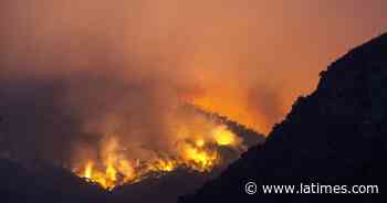 Sequoia Giant Forest trees prepped amid KNP Complex fire - Los Angeles Times