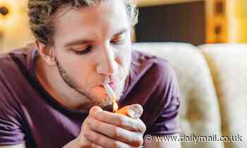 Smartphone sensors can be used to detect if you are high on marijuana with 90 percent accuracy