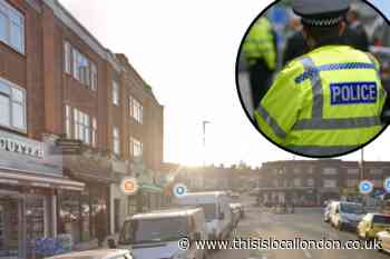 Brothers attacked 'until unconscious' near Finchley