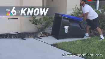 6 to Know: Man Catches Gator Using Trash Can Outside Florida Home