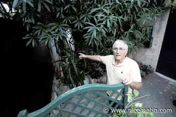 Prolifération des nuisibles, odeurs nauséabondes... A Cannes la Bocca, un riverain s’impatiente