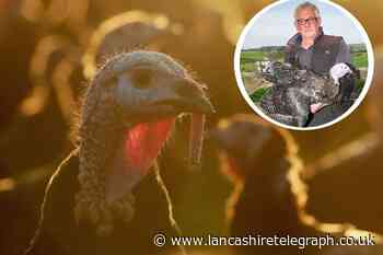 Burnley farmer weighs in on Christmas turkey shortage