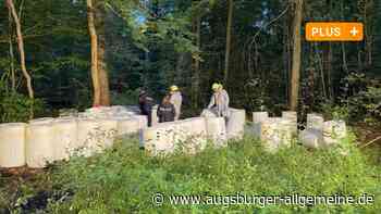 58 Fässer mit ätzender Säure illegal im Wald entsorgt: "Das ist unverantwortlich"